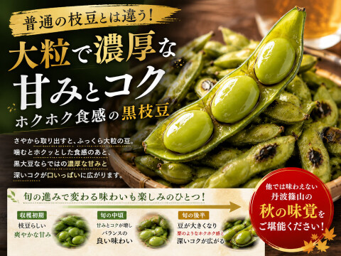 【数量限定】丹波篠山 黒枝豆 枝付き2㎏ 丹波篠山産 丹波 枝豆 もっちり 黒大豆 大粒 波部黒 丹波黒 高級 2kg 黒大豆枝豆 枝付き 贈答品 束 丹波篠山黒枝豆 枝豆 丹波 黒豆