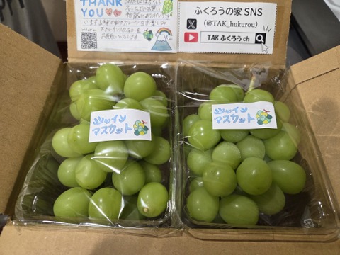 【倍量2㎏】毎年大人気のご家庭向け山梨県産シャインマスカット1kg×2箱