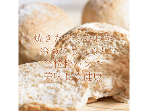 ネバ玄粒 玄小麦 中力系 20kg 5kg×4 青森県産単一品「ネバリゴシ」100％使用 日本の小麦 国産小麦 国産玄粒