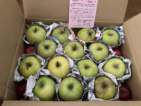 王林Sサイズ約13玉（約2.5㎏）
信州長野県飯綱町産　サクッとした食感と香りを楽しむ青りんご
バラ詰めでたっぷりお届け