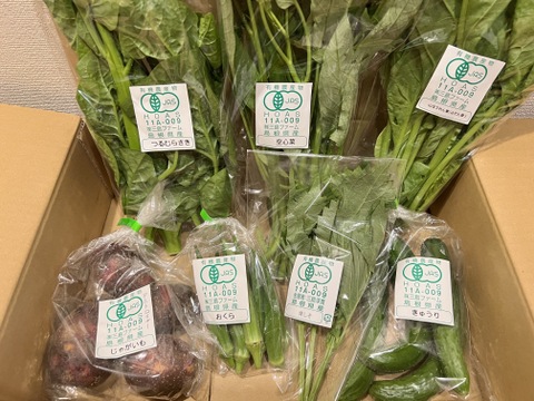 採れたて！旬の有機野菜の詰め合わせ（お試し6種）