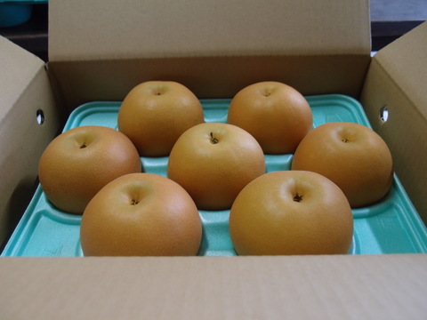 【鳥取県産】あきづき　梨　約3kg