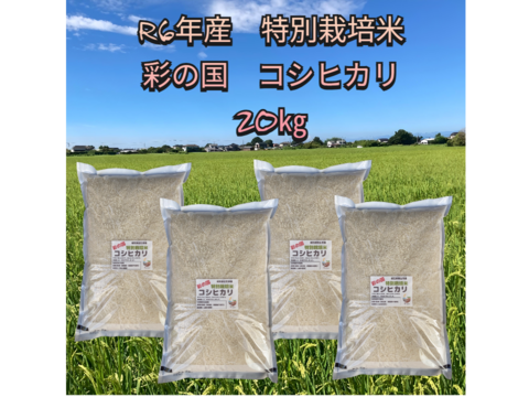 奥深い味わい
R6年産　特別栽培米コシヒカリ　5㎏×4袋