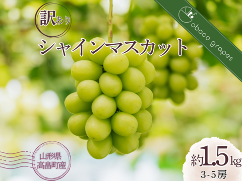 【超お得！】たっぷり味わう贅沢時間！『シャインマスカット』（ご家庭用３～５房/合計約１.５kg）