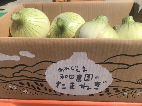予約販売開始!【淡路島 和田農園】☆数量限定☆新玉ねぎ 5kgM〜LLサイズ