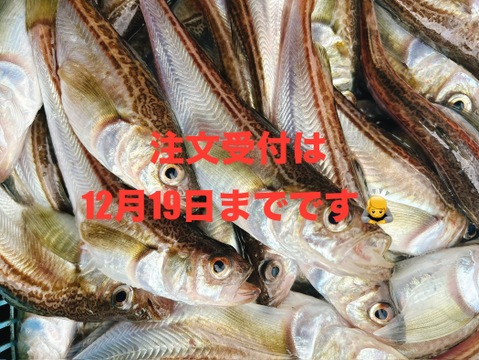 【第二弾】出来たてを生発送！漁師の嫁が作ったハタハタ寿司ぶりこ入！３パック