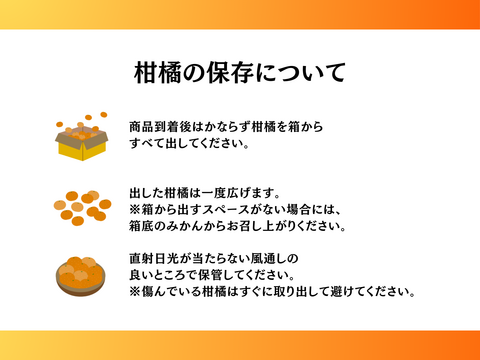 柑橘を初めてご購入の方向け！産地直送柑橘セット