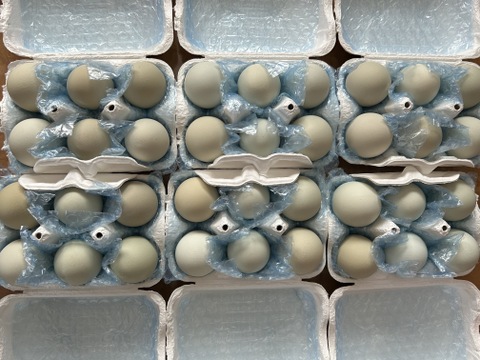 NHKで紹介！【36個】オメガ３が普通の卵の４倍！24時間放牧養鶏卵、(6個×6パック)アローカナの産む幸せの青い卵、下田ブルー！！