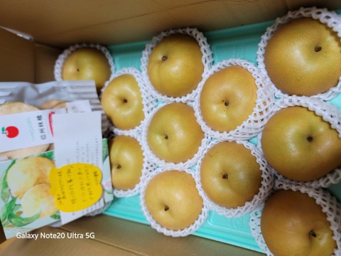 南水 梨 （5kg）2箱