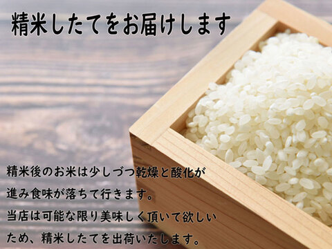 感謝セール100袋限定】【新米】令和7年産 あきたこまち 白米10kg