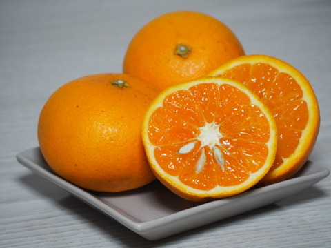 【今が旬】甘くてジューシー！「清見オレンジ」 3kg