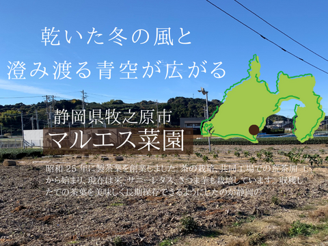 野菜ソムリエサミット銀賞受賞。天日干し製法で作った干し芋40ｇ×7パック　静岡県牧之原産の紅はるかを使用した角切りタイプです。ネコポスでご自宅のポストに投函されます。