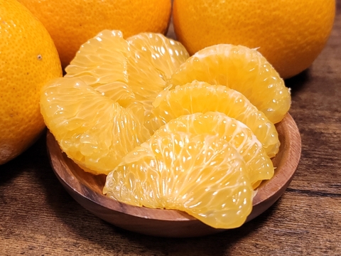 【木なり八朔 ご家庭用 4kg 】こだわりの樹上完熟