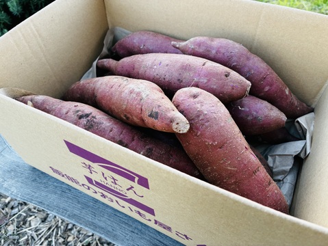 ふくむらさきS-M3kg！糖度高くアントシアニン豊富なさつまいも