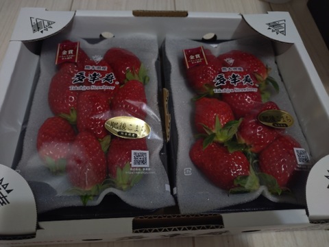 🥇いちごグランプリ2025金賞受賞！超希少品種！『肥後こまち』ご家庭用パック 250g×2p