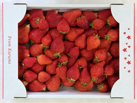 【バラ詰め】完熟あまおう１kg ジャムなどの加工用