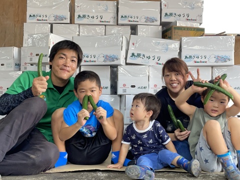 朝採り！新鮮カリッと！きゅうり