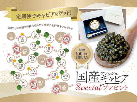 新鮮！採れたて！農薬・化学肥料不使用！レタスとケールの定期便 4個セット