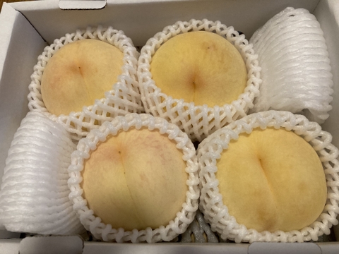 🍑【農家の朝食】小箱【3〜6個】【ゴールデンピーチ】