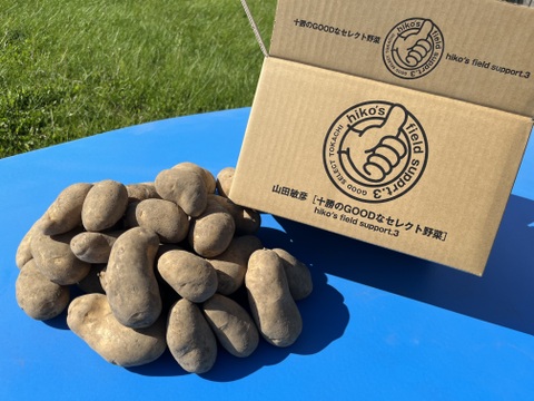 R6年産【メークイン🥔】10kg 3日間限定予約販売❗️5kg×2箱セット送料節約！