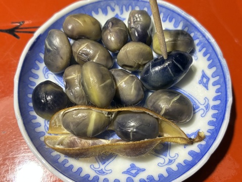 【ムチムチ極大粒❣️】能勢黒枝豆 枝付きで1kg 😋👍豊かなボリュームと深いコク。黒豆になる今が絶品“知る人ぞ知る味‼️”もう普通の枝豆には戻れない‼️🤤大阪府エコ農産物“大阪産（もん）”認証。