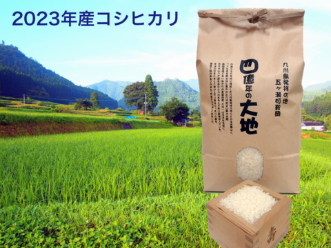 新米！四億年の大地米コシヒカリ　玄米　5kg　2023年