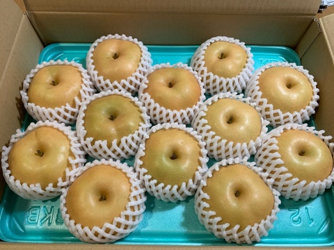【予約】梨 南水 良品 5kg 長野県産 大好評‼️