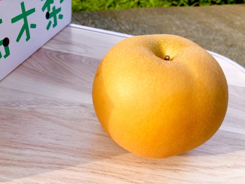 甘くてジューシー　あきづき2.5kg(5〜7玉)