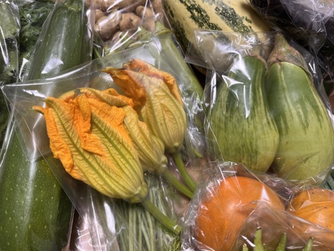 【自然農】ももタケ『季節の野菜セット』肥料・農薬不使用、天地の恵み・露路栽培※少量多品目生産のため数量に限りがあります