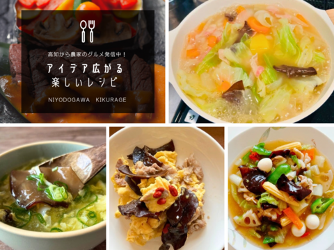 高知県仁淀川町産『生きくらげ』食べ比べセット｜奇跡の水で育てた”純白の贅沢”「白あらげきくらげ400g」｜「黒あらげきくらげ500g」季節限定｜数量限定でお届け｜