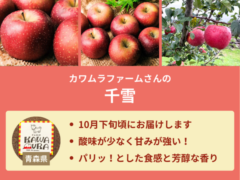 【販売終了】【限定300セット】りんご食べ比べ便第2弾（食べチョク公式）