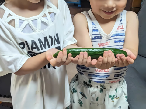野菜イヤイヤ卒業！？　げんきゅうり　2.2㎏（20本程度）　子どもがパクパク！朝採れトゲシャキおかっぱ農園直送