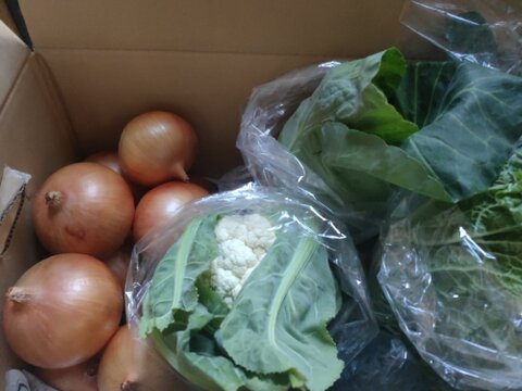 大好評，地層が違う淡路島、ターザン(風袋込み３キロ)