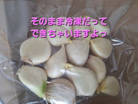 格安！訳あり品!!　北海道しれとこ産　少し発芽にんにく100ｇ～