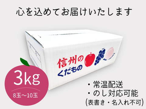 芳醇な甘み “ぐんま名月” 3kg(8～10玉) 贈答用 信州安曇野産 りんご  人気商品