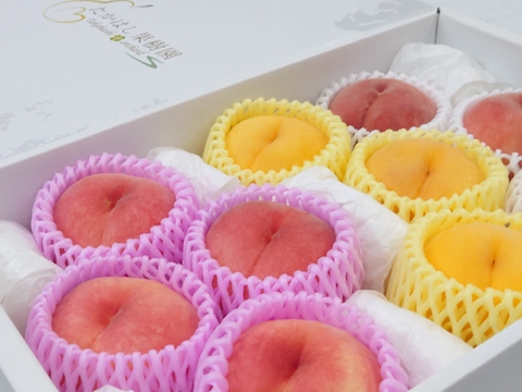 【食べ比べ】桃のおまかせ詰め合わせ約3.3kg【贈答用】