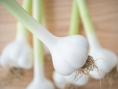 無農薬 無肥料 福地ホワイト にんにく 3kg にんにく】『農薬・化学肥料・除草剤・防虫剤等不使用』 福地