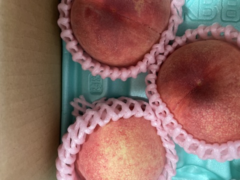 【夏ギフト】初夏を彩る桃 品種はおまかせ！朝採りした桃をその日に発送します！