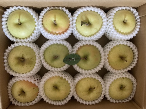 🍏【トキ】🍏約３キロ9～11玉《家庭用》ID162925