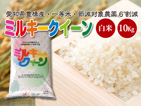 【節減対象農薬6割減・一等米】ミルキークイーン 白米10kg【令和2年・愛知県産】
