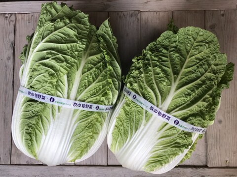 【限定】京のお正月お野菜セット【 漢方栽培】