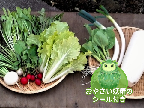 【食育やさいBOX】自然栽培野菜Mセット【7~9種類】