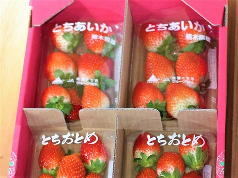 (12P)【いちご・とちおとめ / とちあいか】甘いいちご食べくらべ (合計１２パック)★栃木県産いちご