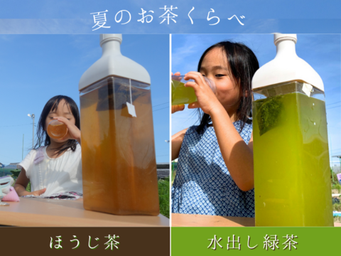 〈メール便〉夏のお茶くらべ2種各5g✖️10p　計20p　ほうじ茶NO.1 浅煎り、希少部位"真（ジン）"の水出し緑茶　ティーバッグ　静岡県産　春の一番茶　低カフェインで夜のリラックスタイムを