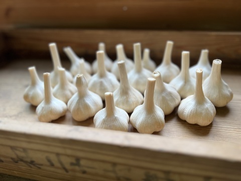 自慢のにんにくオーガニックホワイト六片 1 kg🧄有機栽培🌿Organic Garlic