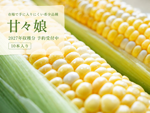 【2027年発送🌽夏ギフト🎁】
＼フルーツのような甘さ🌽／
中津川産 大橋農園プレミアム『甘々娘』とうもろこし 10本入り
✨朝採り＆鮮度維持袋でお届け／数量限定！