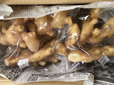 冬を乗り切る！生姜で料理を楽しもう！生姜（2㎏）