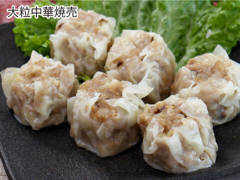 【ギフト】ジャンボ焼売を2種楽しめる　元気豚 焼売2種セット（2種4品）【熨斗対応可】