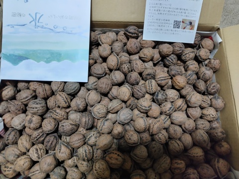会津産の鬼ぐるみ【大盛り4キロ】老舗菓子店愛用！美容と健康に
