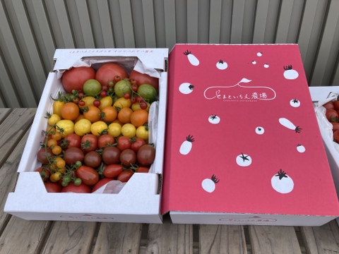 【冬ギフト】【大満足セット】トマト、ミニトマト、カラフルトマトの詰め合わせ12種の1.6キロ【トマト食べ比べ】